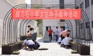 荆门市掇刀石小学开展“智慧农耕  播种未来”太空种子种植实践活动